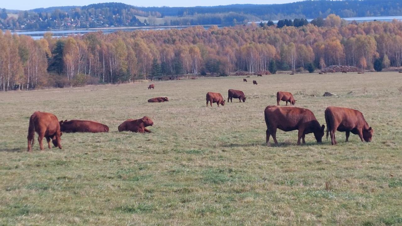 Apartmány Jura Nová Pec Esterno foto